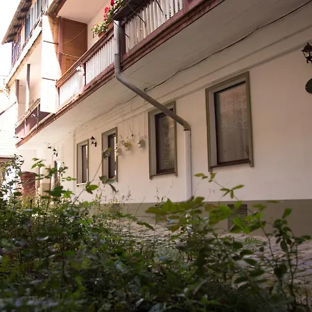 Daire Seek And Hide - Little Emma's Hideaway