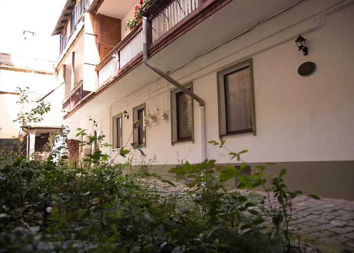 Daire Seek And Hide - Little Emma's Hideaway